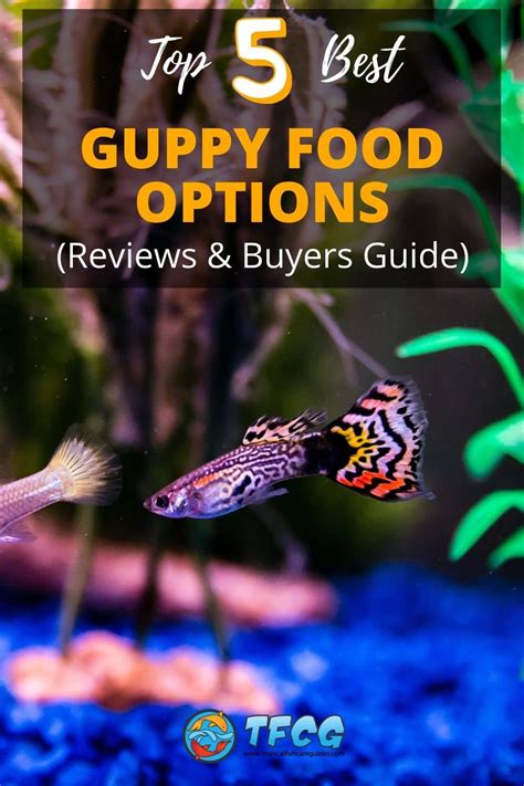 cobalt guppy food|Top 5 Best Guppy Food Options [Reviews & Buyers .